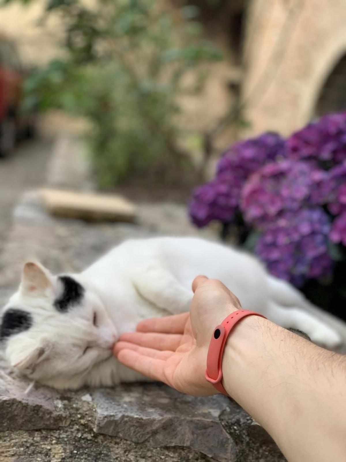 Lucky Garden Bed & Breakfast Bevagna ภายนอก รูปภาพ